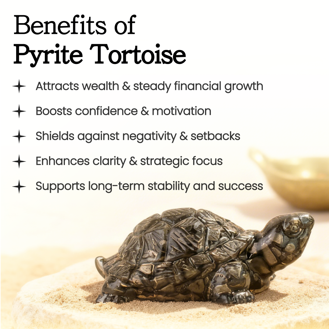 Vastu Pyrite Tortoise (Kachhua)