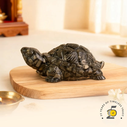 Vastu Pyrite Tortoise (Kachhua)